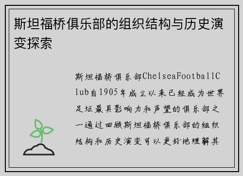 斯坦福桥俱乐部的组织结构与历史演变探索