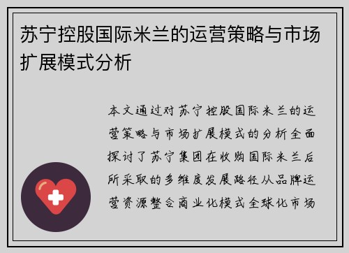苏宁控股国际米兰的运营策略与市场扩展模式分析 苏宁控股国际米兰的运营策略与市场扩展模式分析