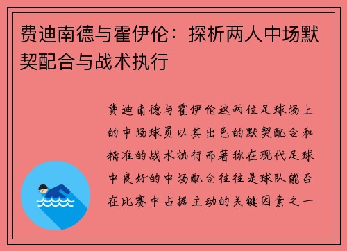 费迪南德与霍伊伦：探析两人中场默契配合与战术执行
